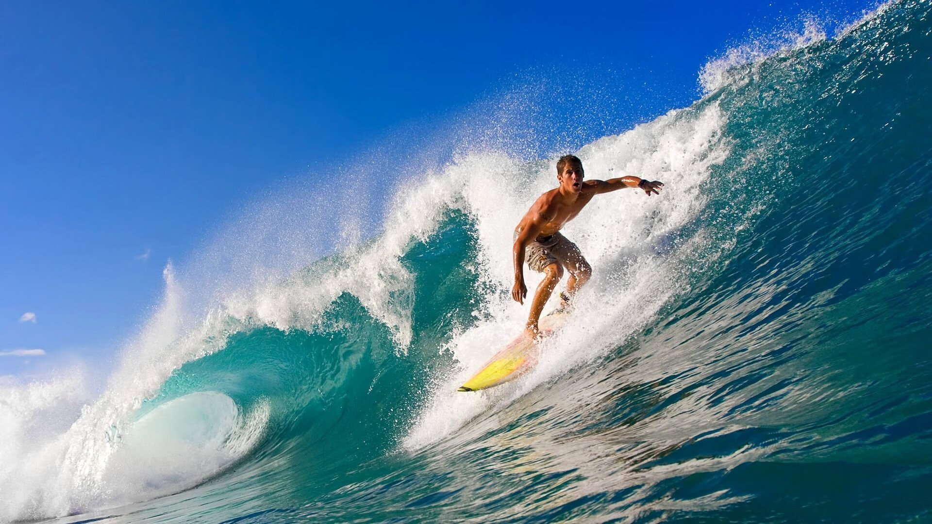 雪域雄狮与北境铁骑，掘金鏖战力克猛龙的战略启示