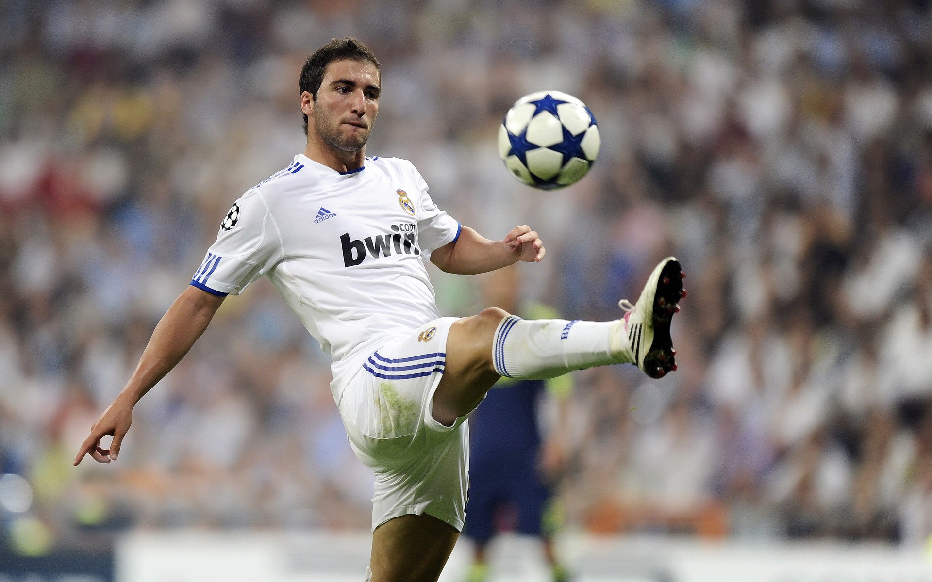 碾压京城的橙色风暴，福克斯用37分诠释唯一性