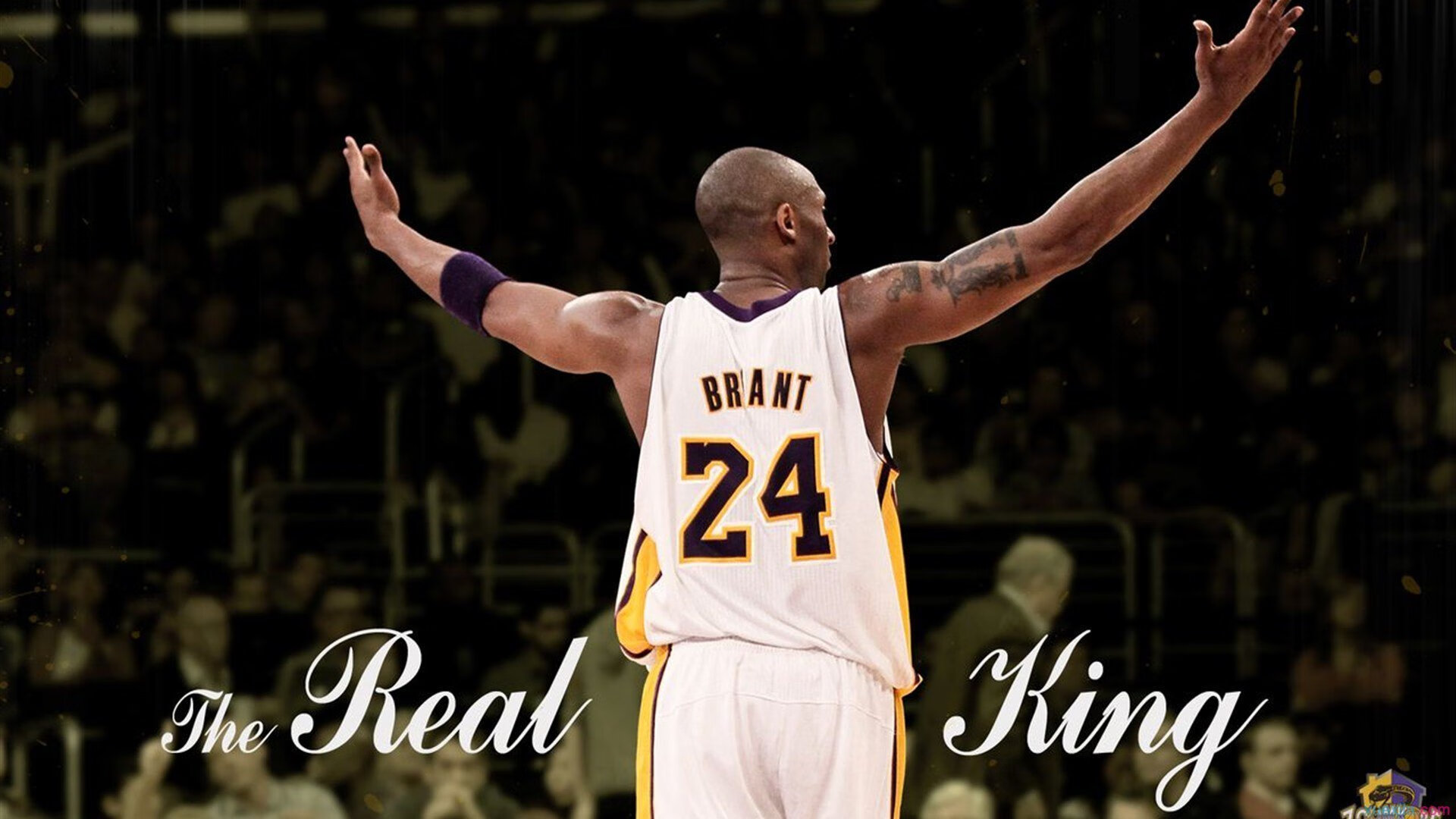 团队横扫与个人绽放，亚洲羽坛的双面叙事